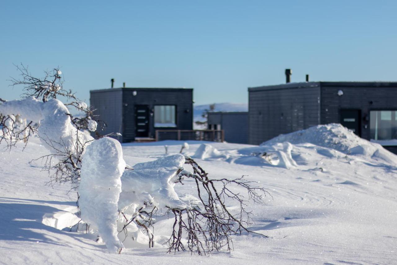 Top Star Saariselkae - Arctic Glass Cubes Экстерьер фото